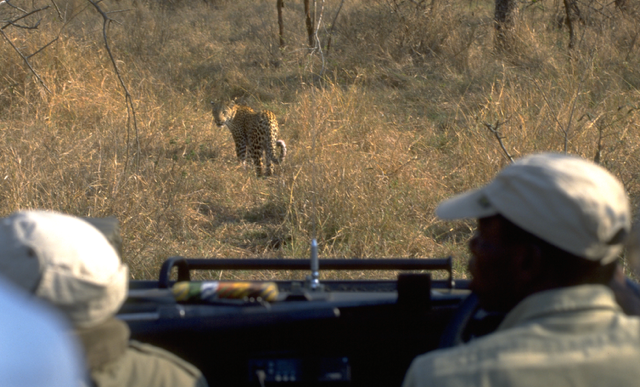 Screenshot 2026-04-19 at 10.41.12 AM